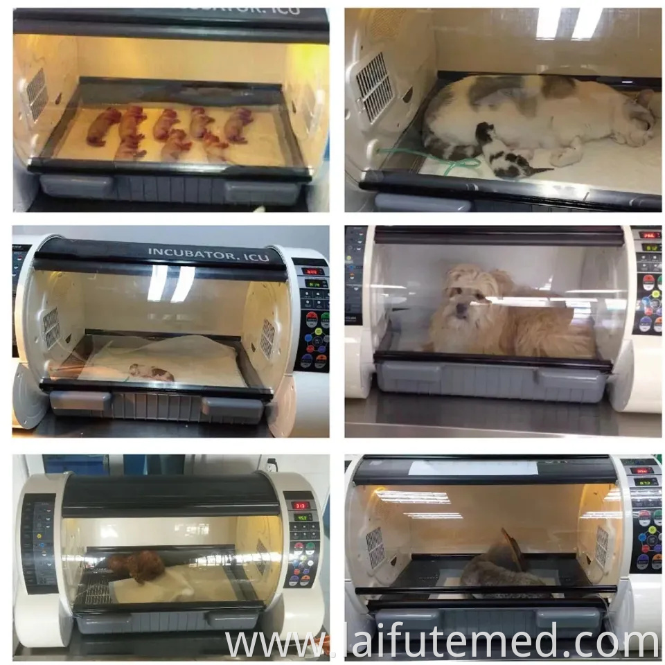 Medical Professional Pet ICU Incubator with Nebulizer Veterinary Fully Automatic ICU Incubator